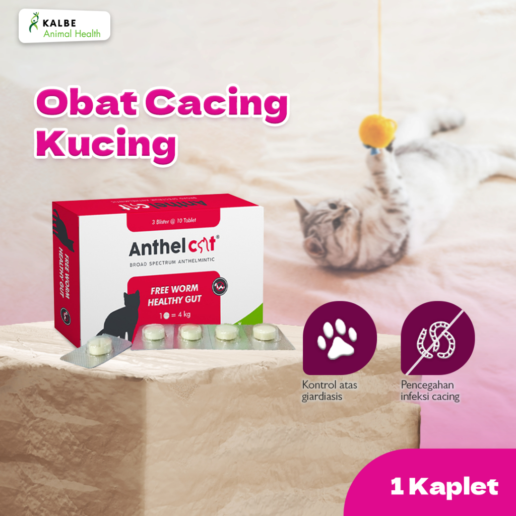 Anthel Cat 2