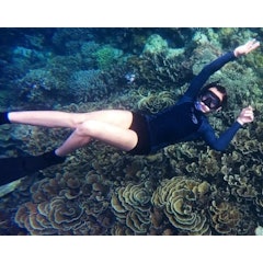 Snorkeling 1 Hari di Taman Nasional Komodo