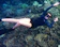 Dive Komodo Snorkeling 1 Hari di Taman Nasional Komodo 1
