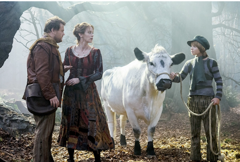 Into the Woods 3