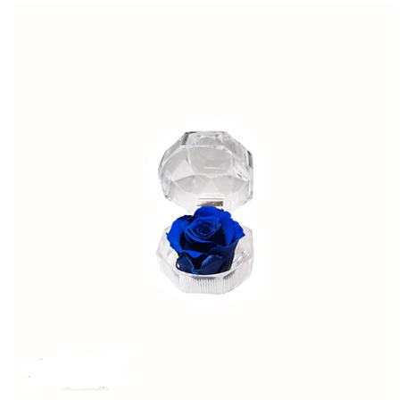 Petite Gift 3