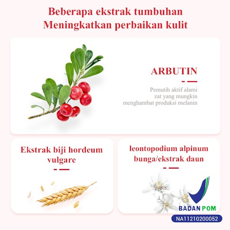 BREYLEE Pomegranate Essence Facial Mask 2