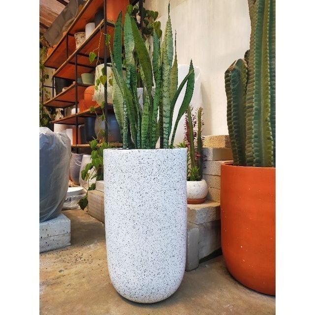 Pot Teracota Pot tanaman terakota premium kapsul