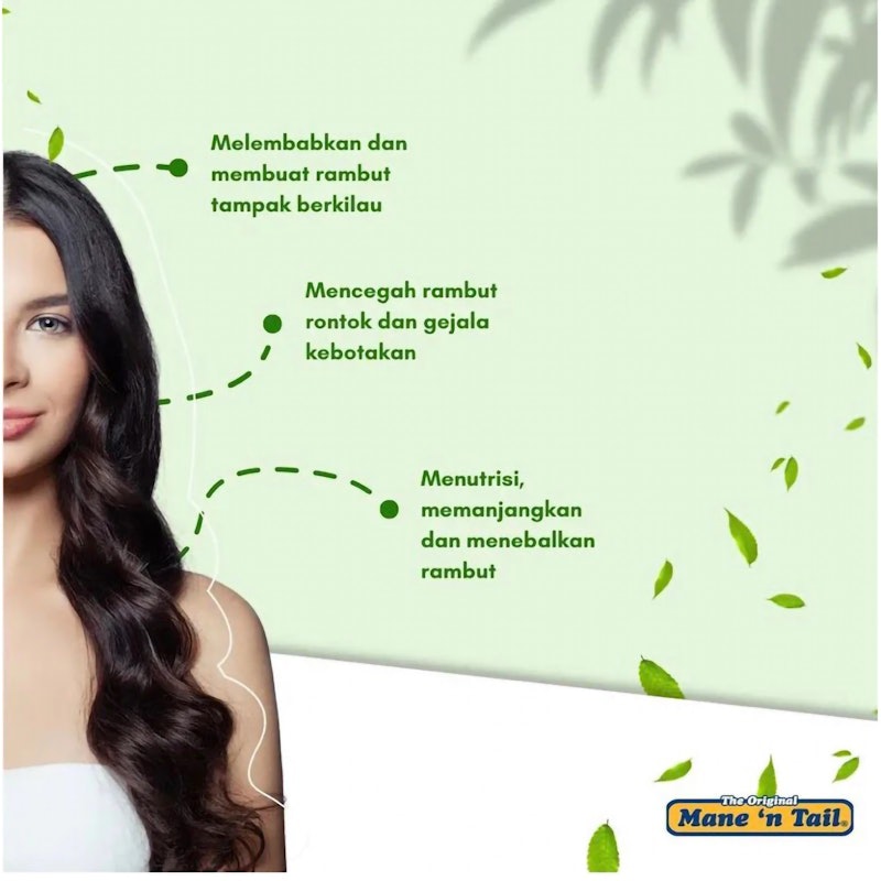 Mane 'n Tail Herbal Gro Shampoo 5