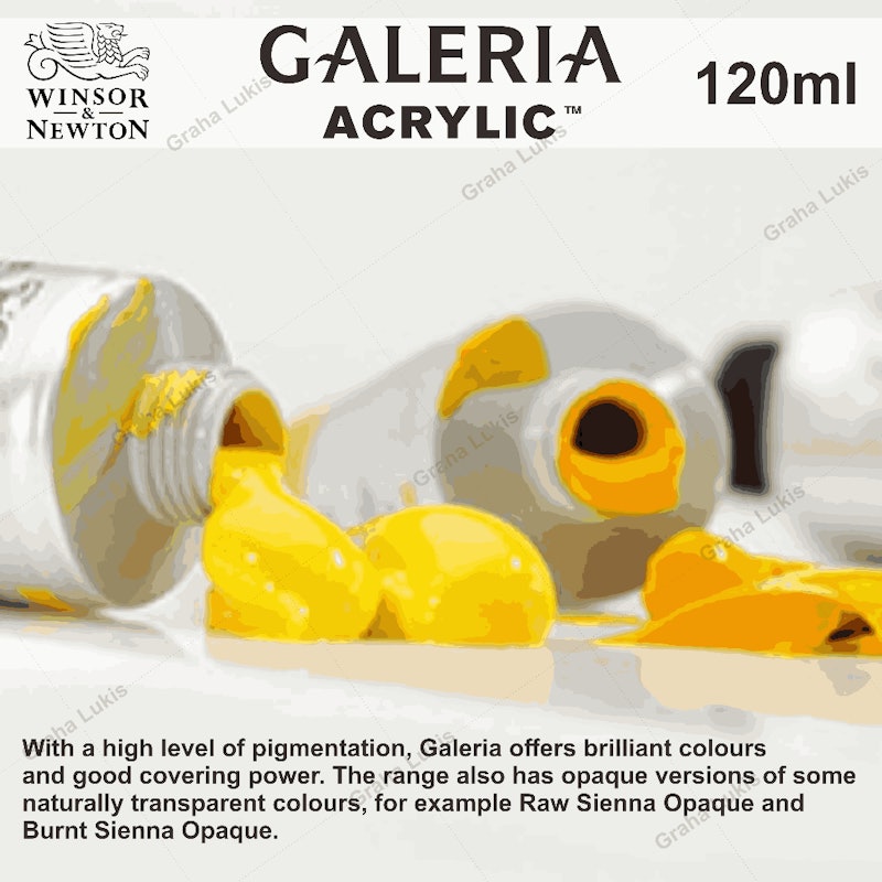 Winsor & Newton Galeria Acrylic 120ml 3