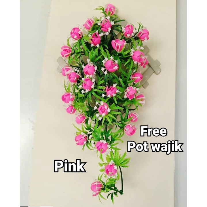  Bunga Rambat Karmelia Gantung 