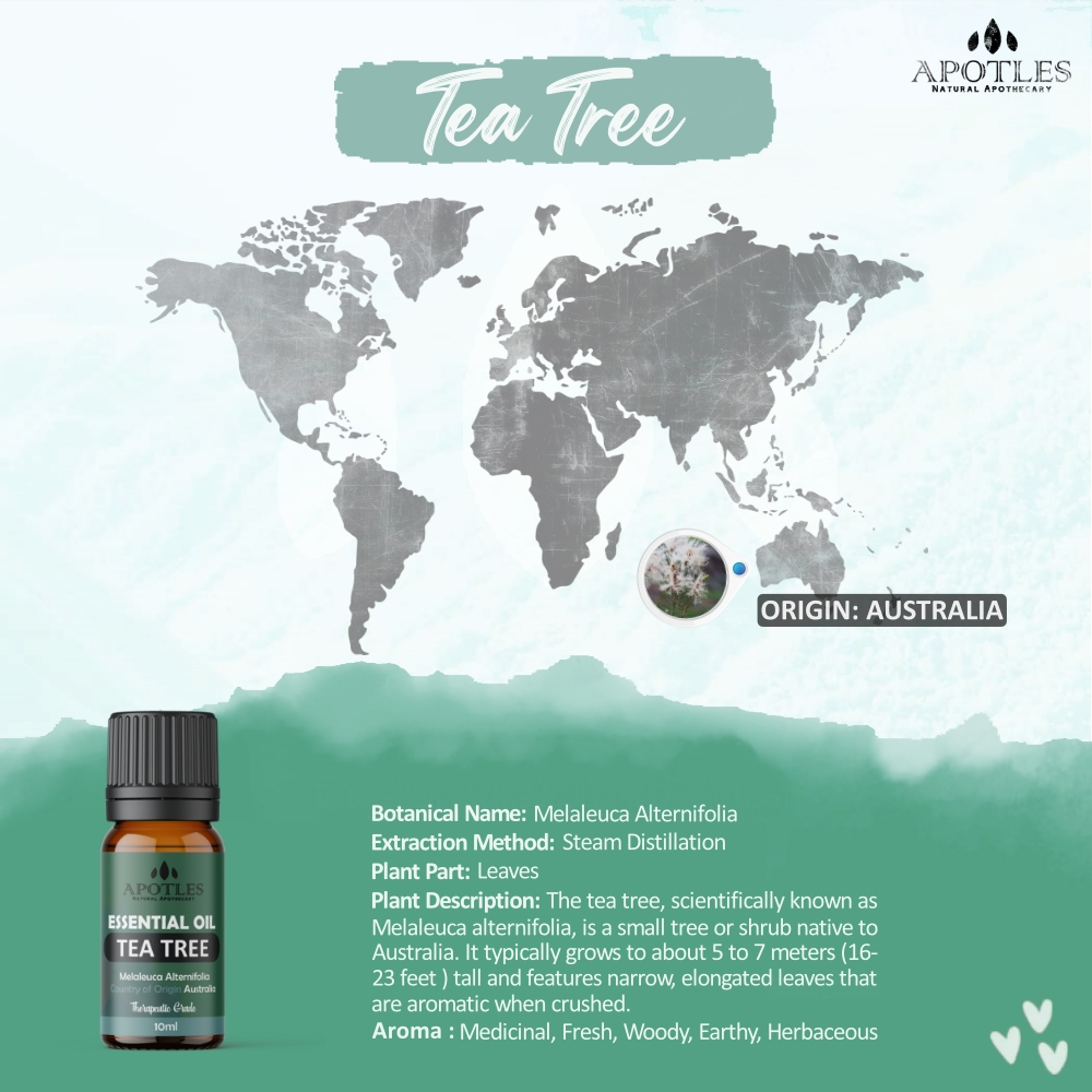 Apotles Tea Tree Essential Oil 