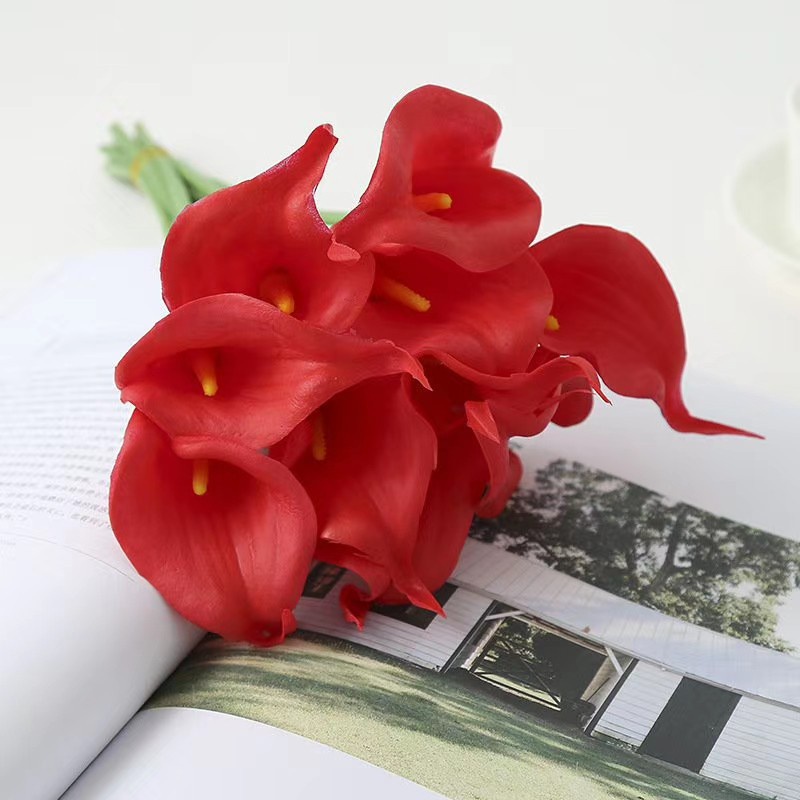  Bunga Lily Hias Calla Cala Lili