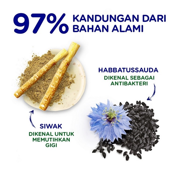 Pepsodent Pasta Gigi Complete 8 Siwak & Habbatussauda