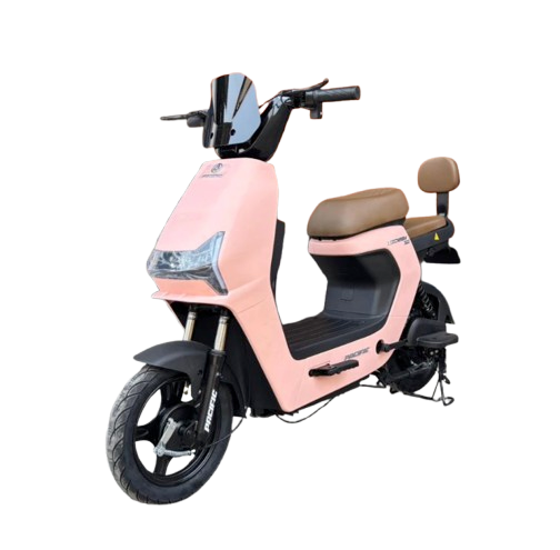 Pacific Zeckrom 300 Electric Motor Pedal