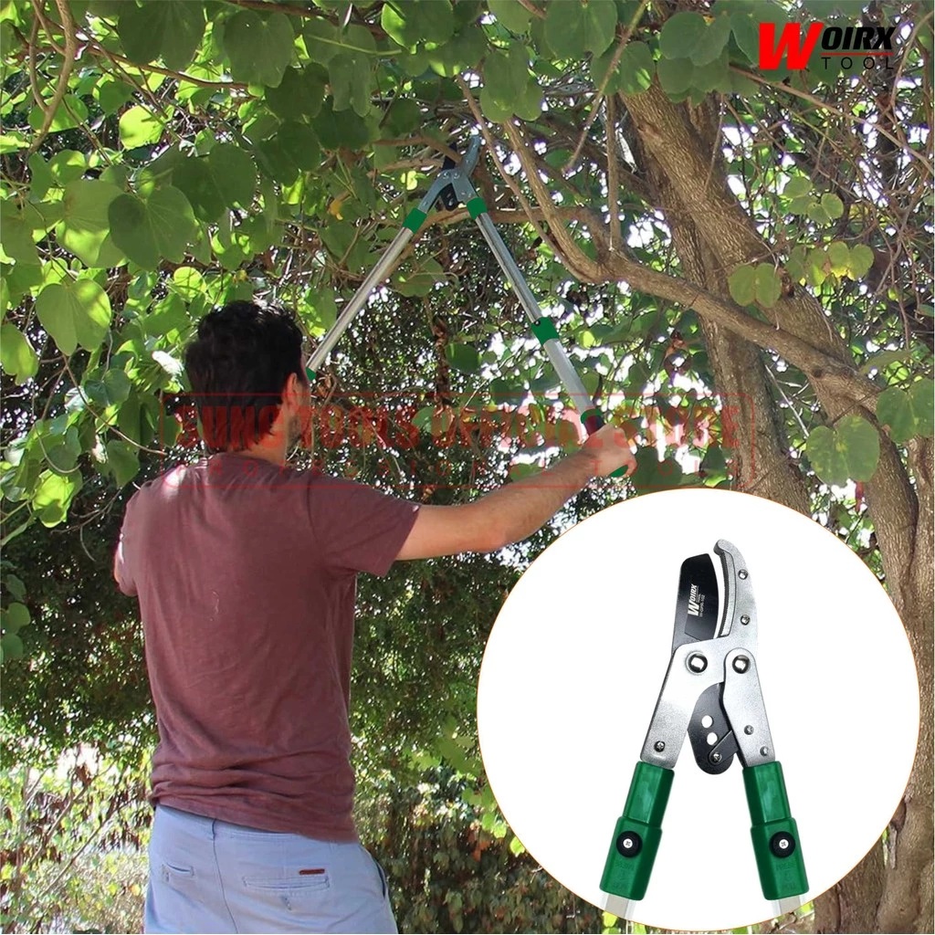 Dua Puteri Jaya WOIRX TOOL Gunting Dahan Teleskopik 