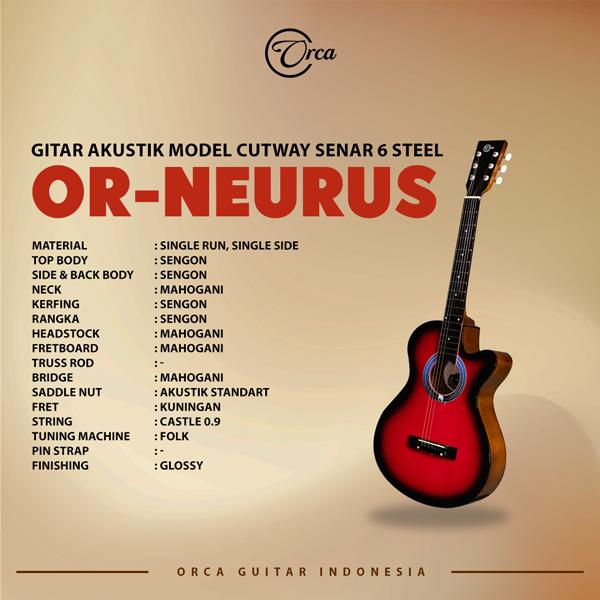 ORCA Or-Neurus Gitar Akustik Pemula 3
