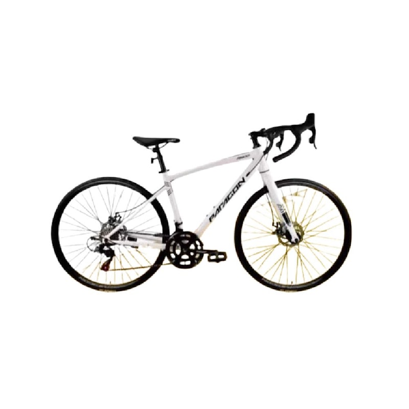 Paragon Roadbike 1