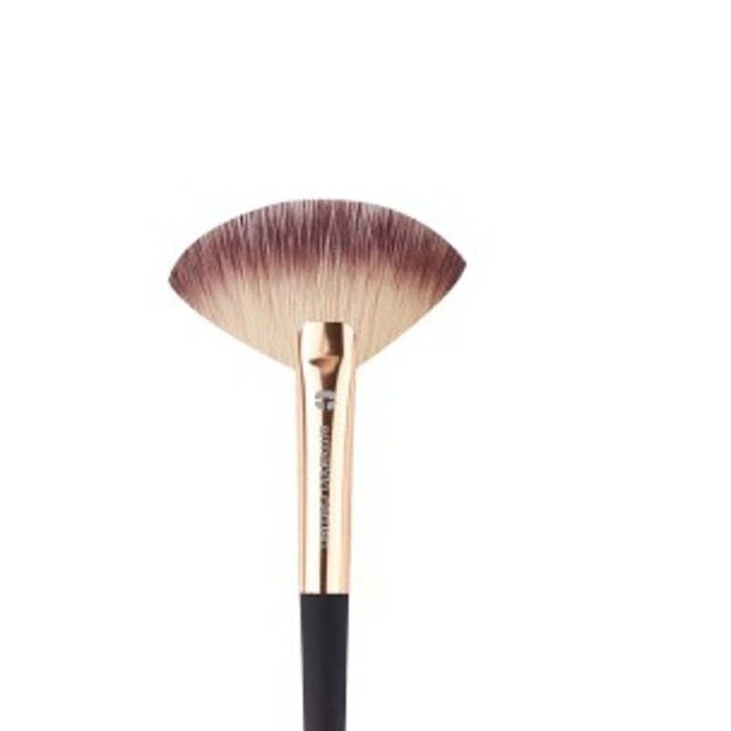 Luxe Fan Brush 2