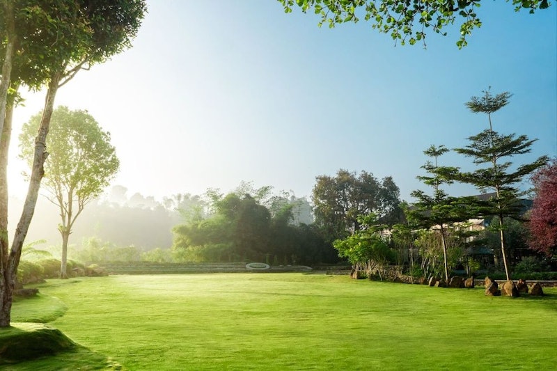 The Green Forest Resort 4
