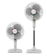 Star Cosmos Cosmos Kipas Angin 2 in1 (Stand & Desk) 1