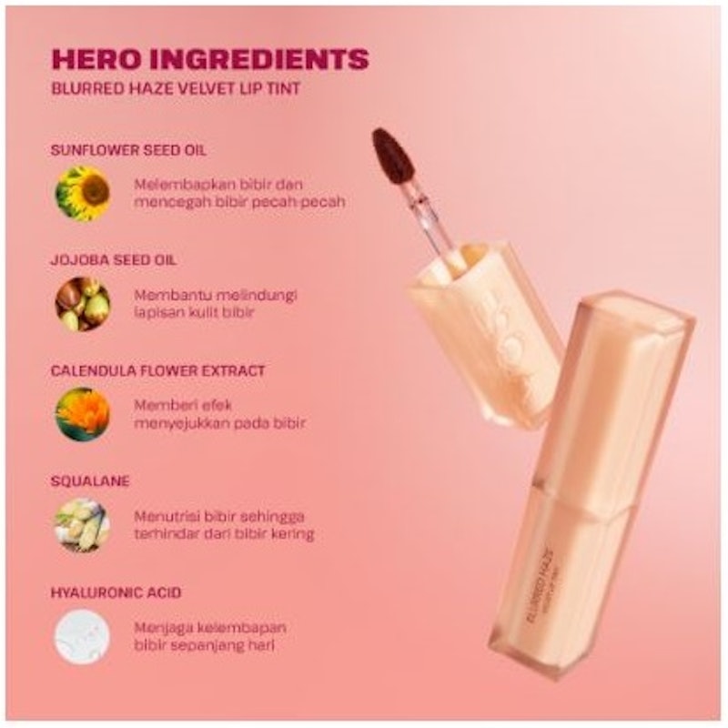 Blurred Haze Velvet Lip Tint - Feel Good 5