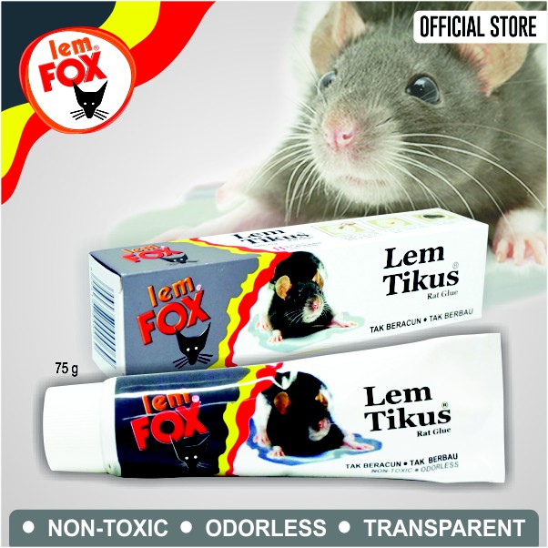 Aica Indria Lem Fox Lem Tikus 