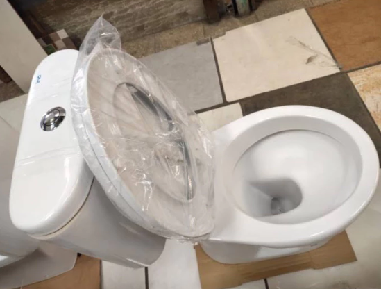 INAX International ina Water Closet  CX100/T10