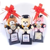 10 Rekomendasi Boneka Wisuda Terbaik 1