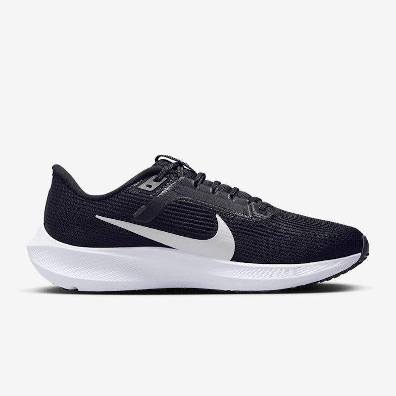 Air Zoom Pegasus 39 1