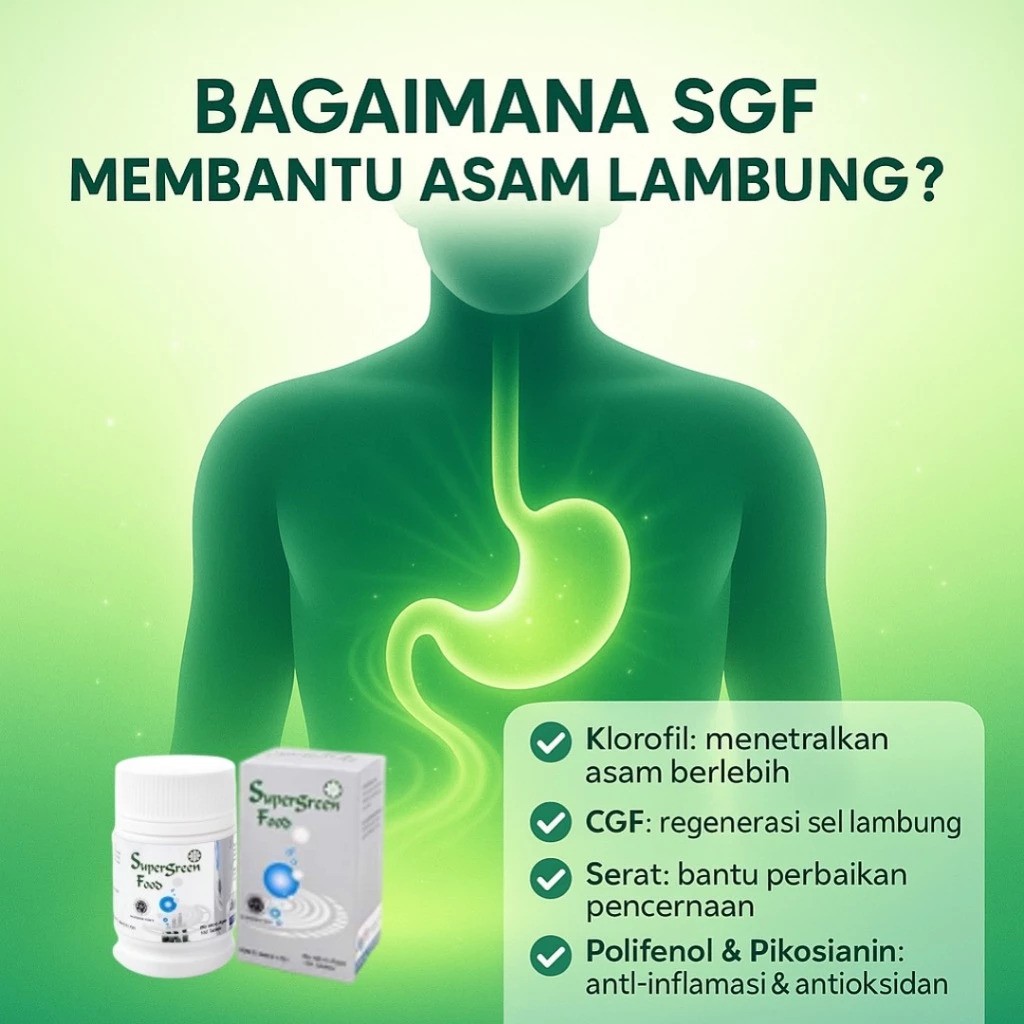 KK Indonesia Supergreen Food (SGF) 