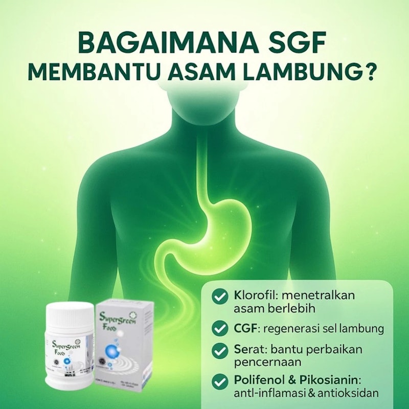 Supergreen Food (SGF) 3