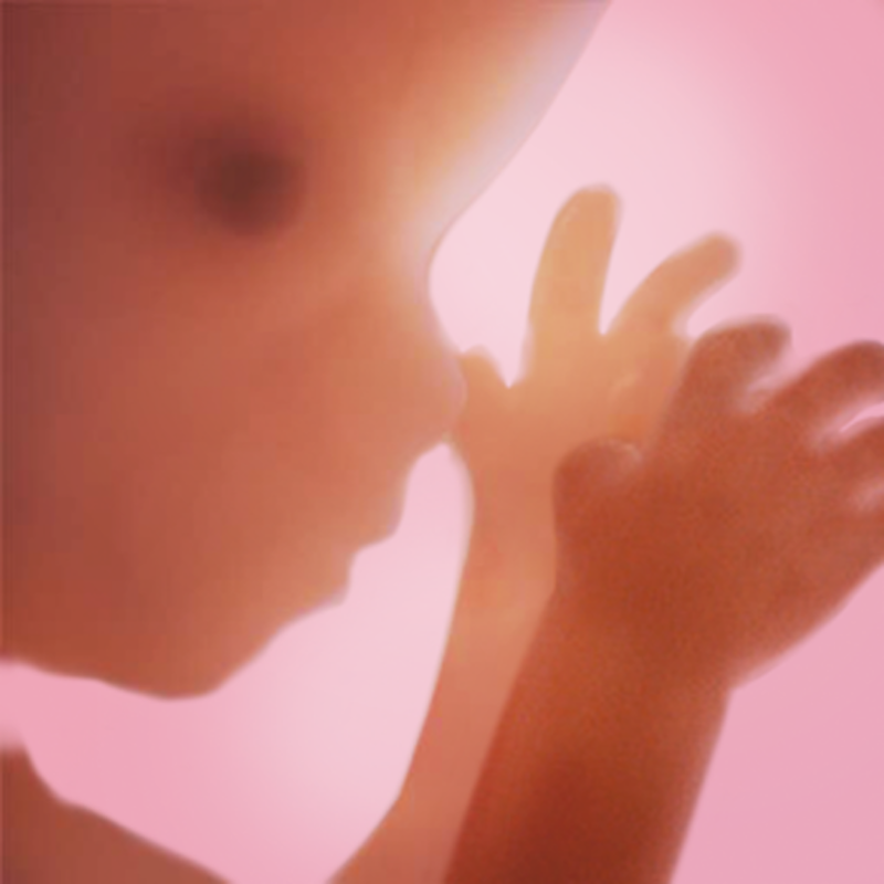 Pregnancy+ 1
