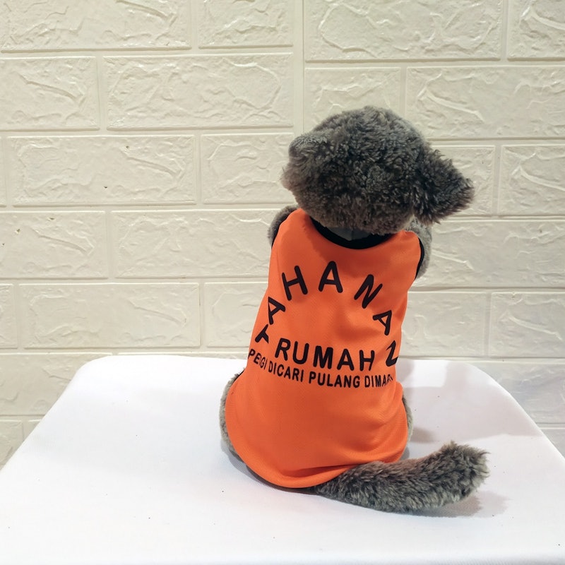 Baju Kucing Model Tahanan Rumah 2