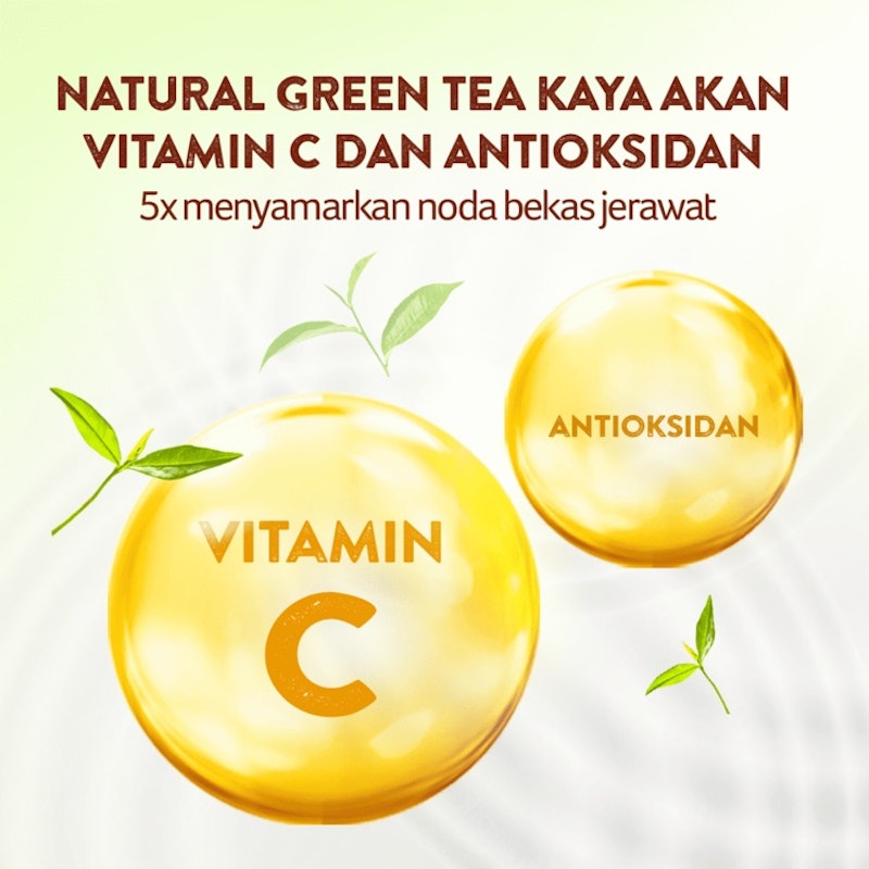 Citra Green Tea Antiacne Essence Cream Facial Moisturizer 5