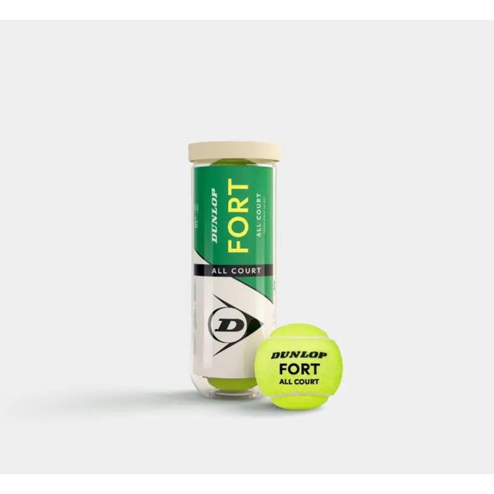 Sumitomo Rubber Industries Dunlop Fort All Court TS 