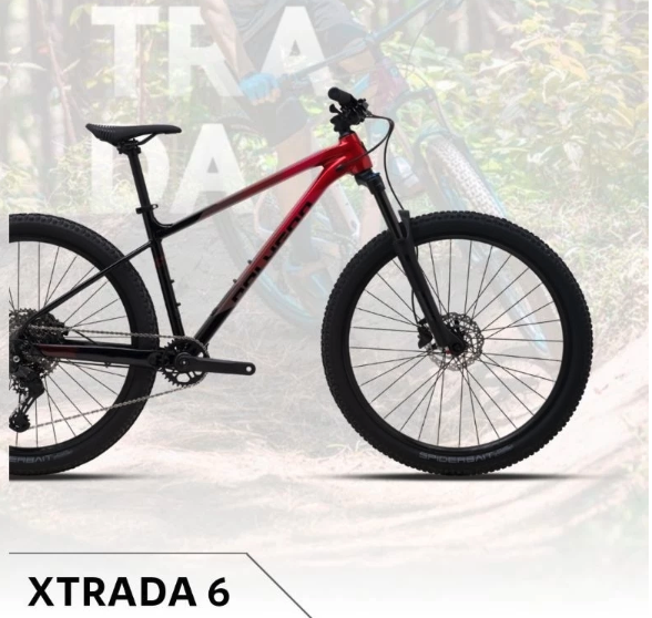 Insera Sena Polygon Sepeda Gunung Xtrada 6