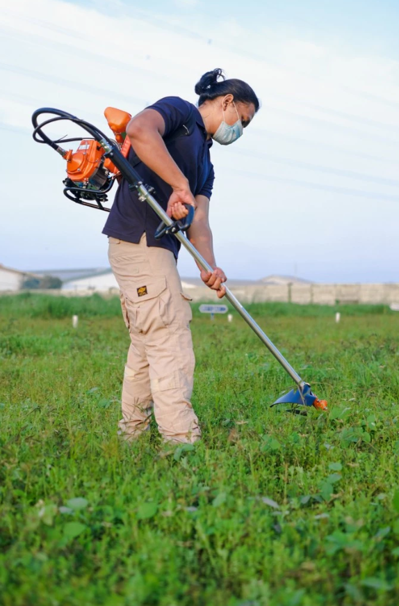 Farmwork Solution Brush Cutter  4