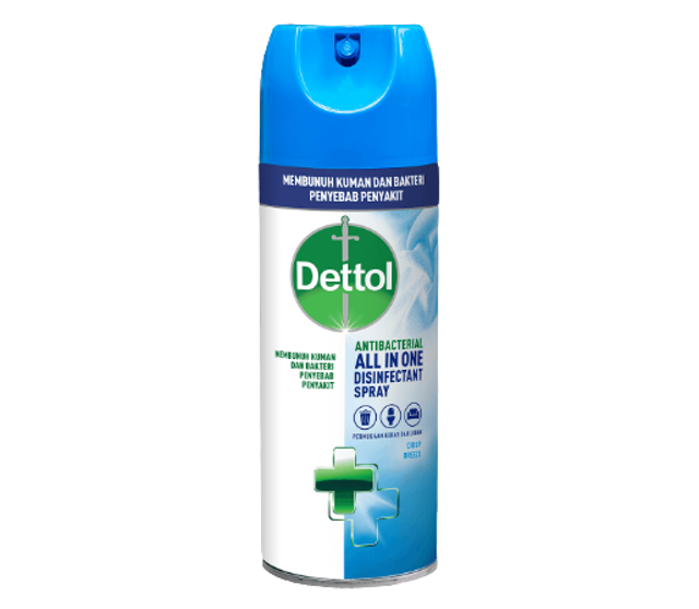 Dettol Antibacterial All in One Disinfectant Spray 