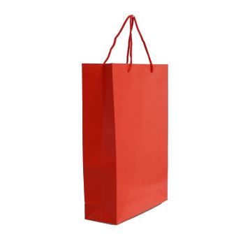 Paper Bag Polos Ukuran L 3