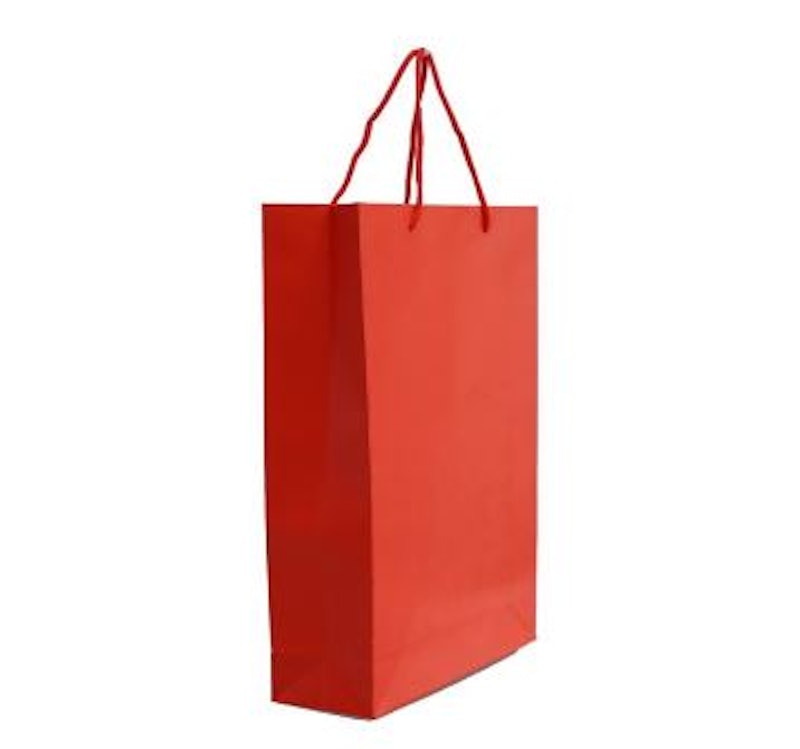 Paper Bag Polos Ukuran L 3