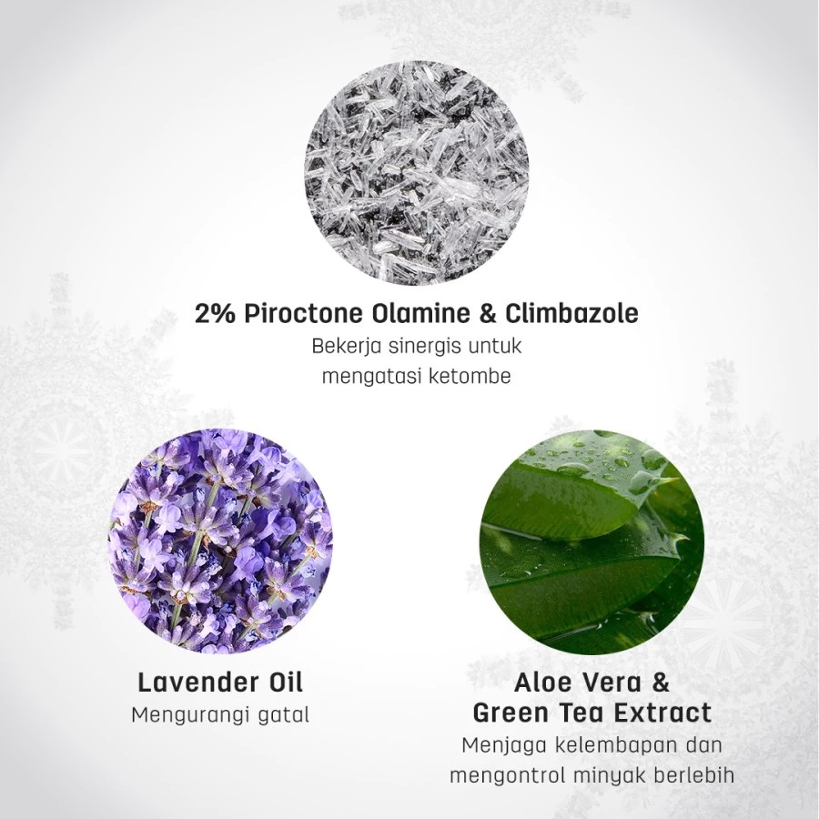 ERHA Clinic Indonesia Erhair Scalperfect Anti Dandruff Shampoo