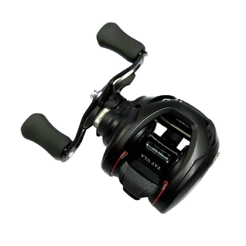 Daiwa Tatula TW 100XHL 1