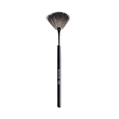 Fan Brush