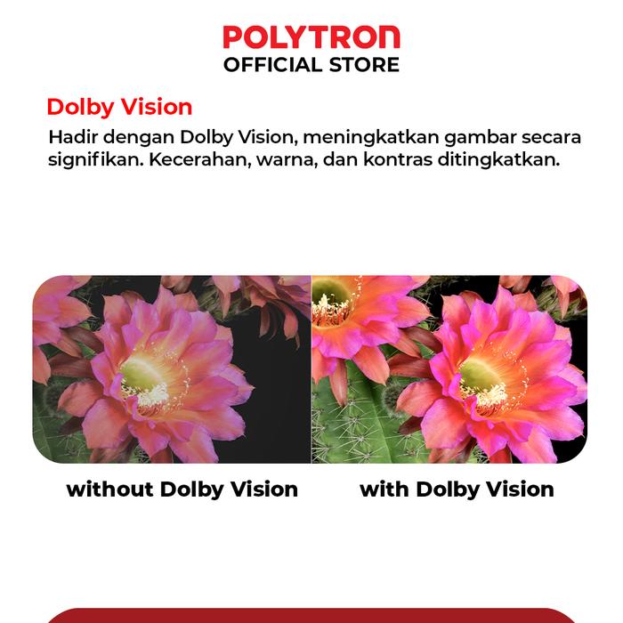 Polytron Polytron 65" 4K UHD Smart Google TV PLD65UG5959