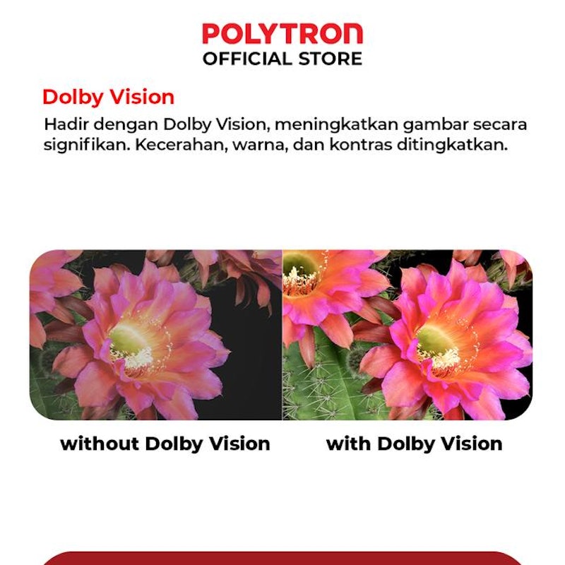Polytron 65" 4K UHD Smart Google TV 2