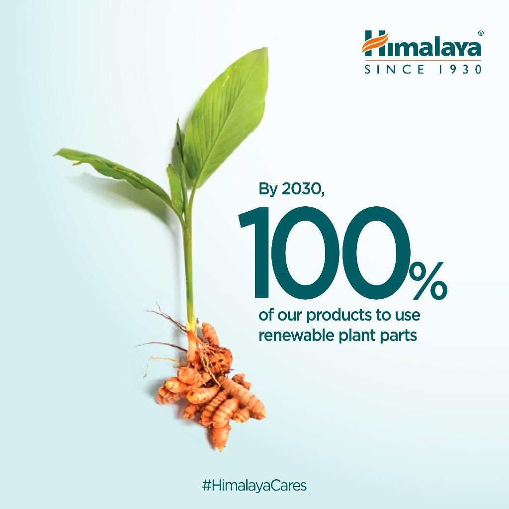 Himalaya Wellness Indonesia Himalaya Dark Spot Treatment Turmeric Face Mask 