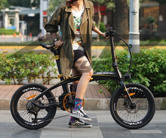Avand E-Chester E-Bike Fold  5