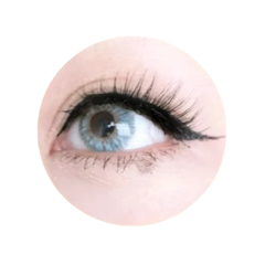 Roona x Astaririri Lashter Magnet Eyelash Diamond