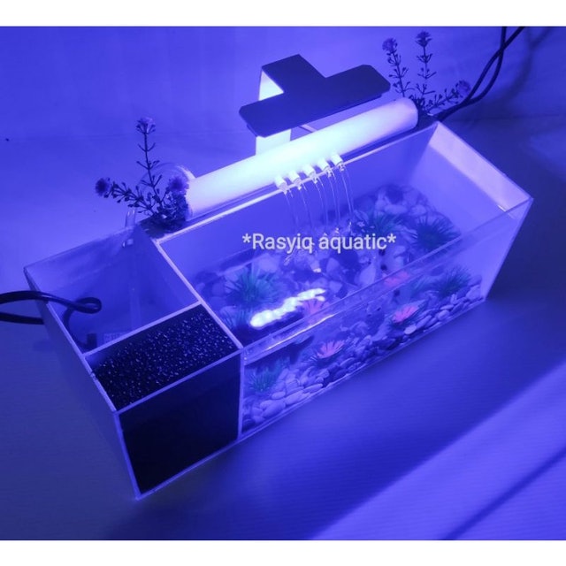 Akuarium Mini Akrilik Fullset 5