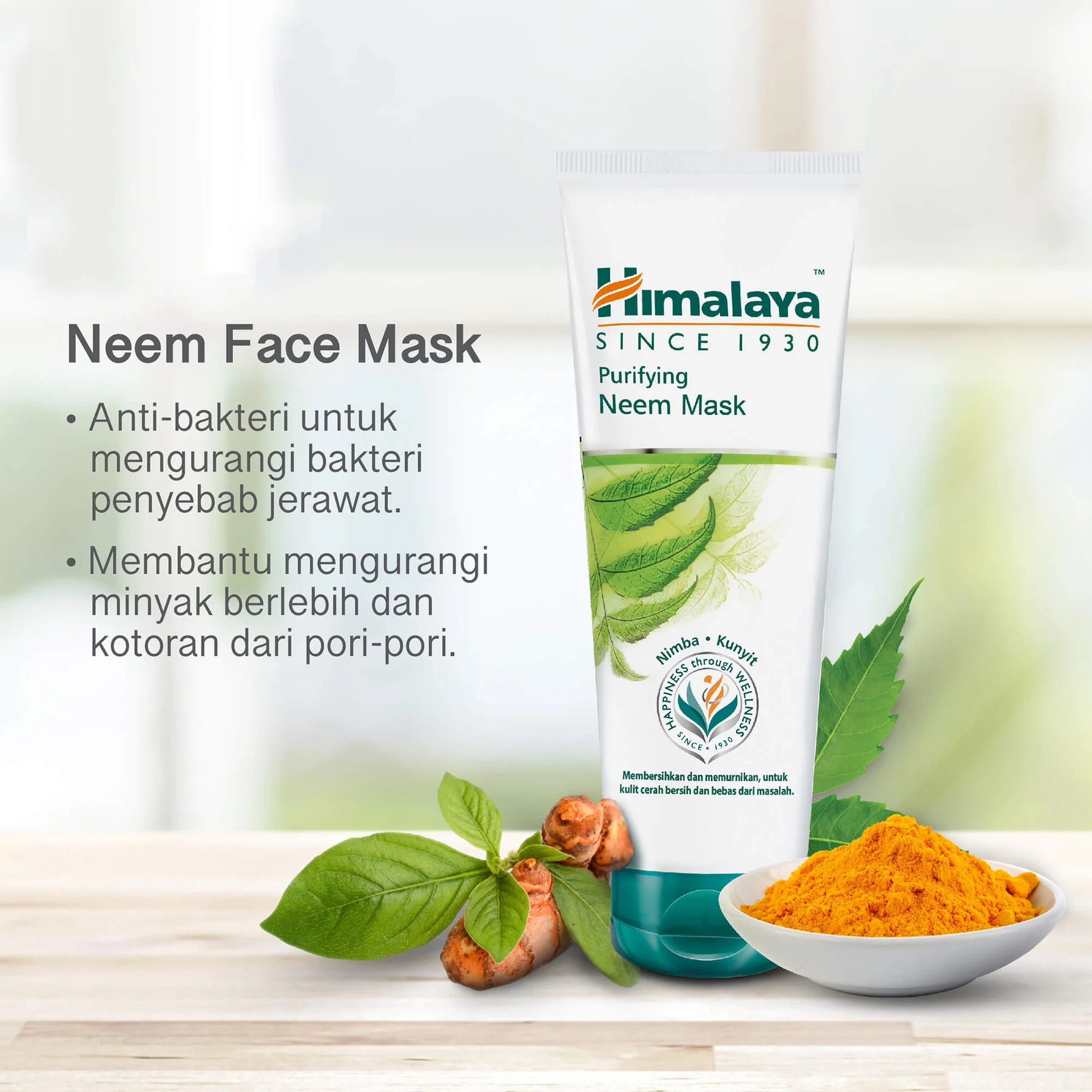 Himalaya Purifying Neem Face Mask
