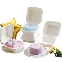 Bagasse Box
