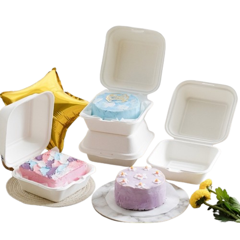 Bagasse Box 1