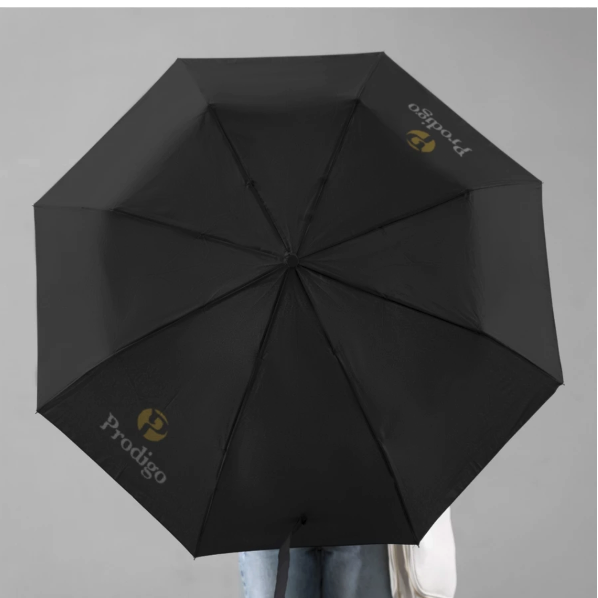 Pemuda Harapan Bangsa Prodigo Bidara Payung Lipat