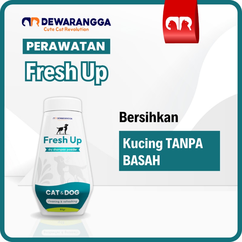 Dewarangga Fresh Up Dry Shampoo Powder 2